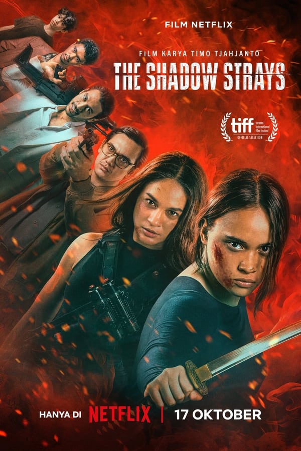فيلم The Shadow Strays 2024 مترجم