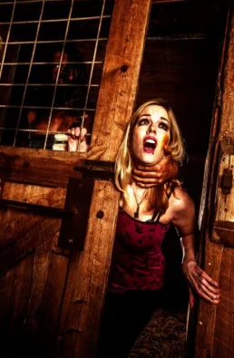 فيلم One Night of Fear 2016 مترجم